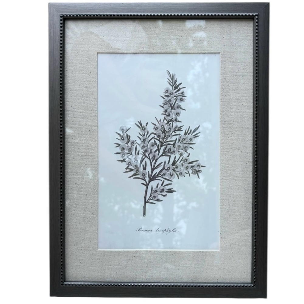Vintage Framed Botanical Sketch Print Linen Mat Wall Decor